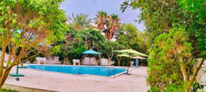 APPARTEMENT RAYHAN Yasmine Hammamet